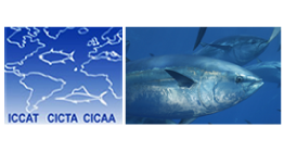 Comisión Internacional para la Conservación del Atún Atlántico